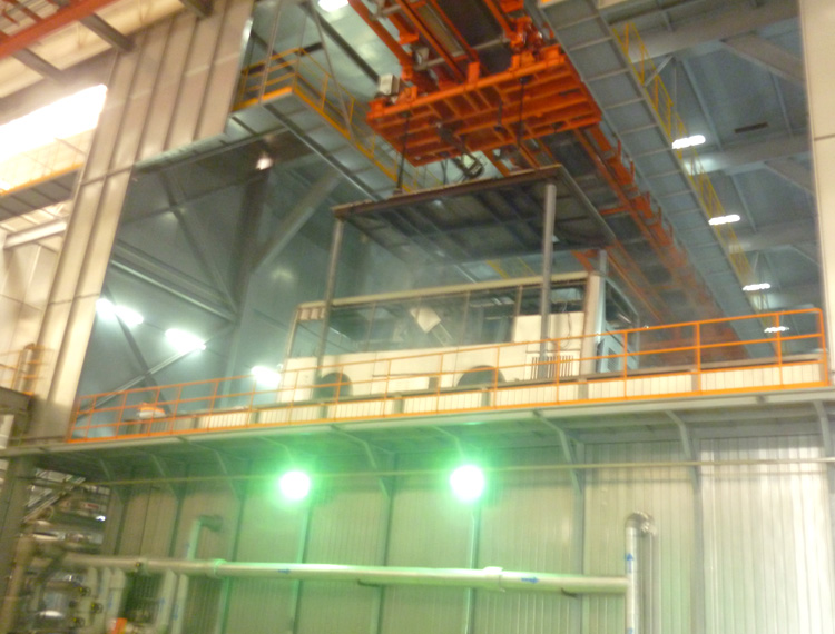 _DSC0113_Sprout_20140718